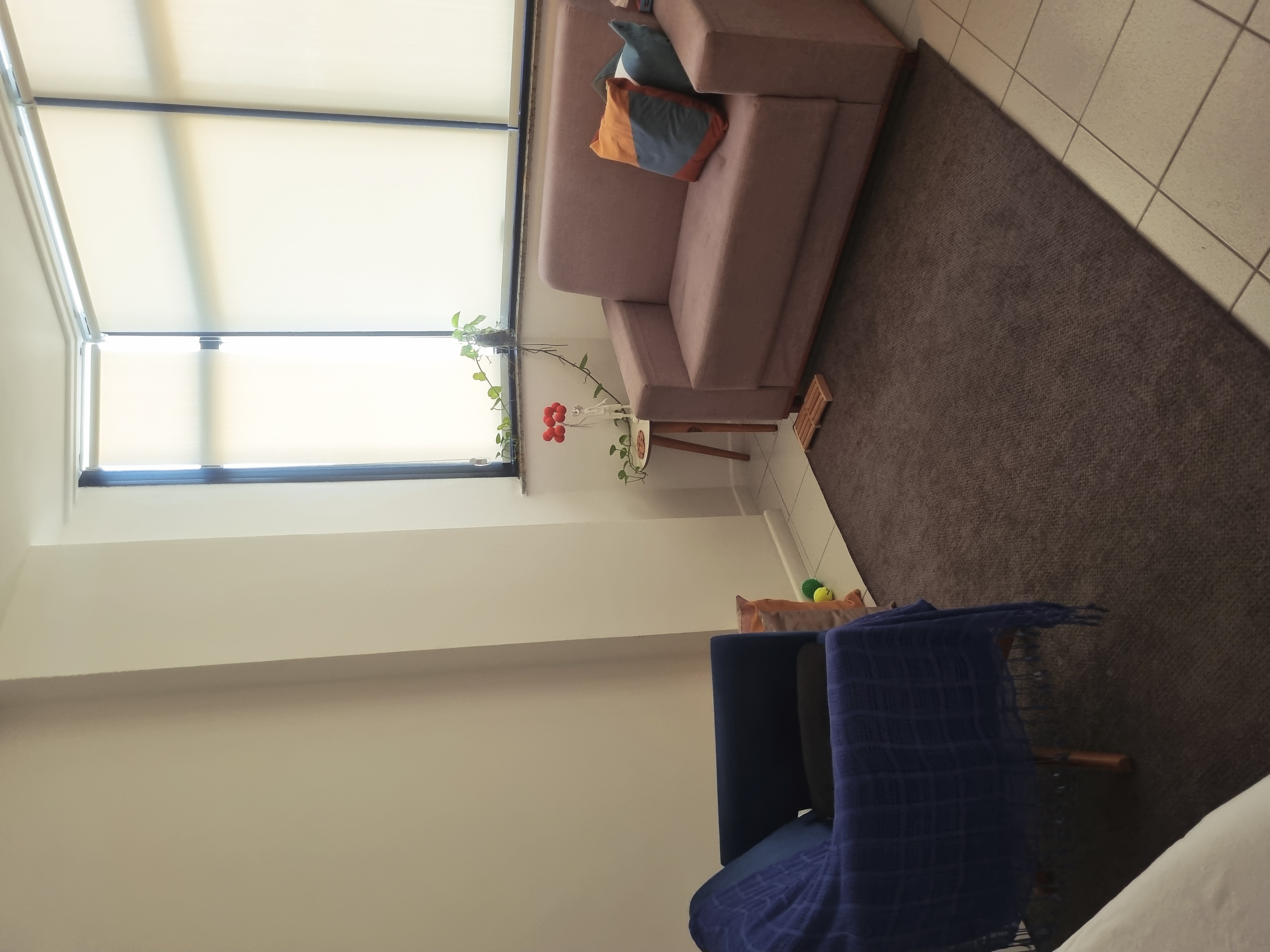 Meu espaço de atendimento 4